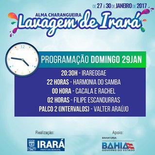 lavagem-irara