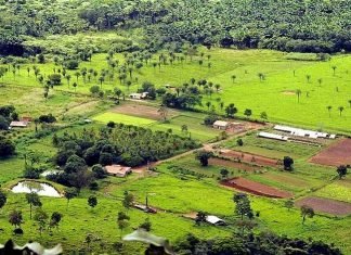 Receita espera receber 933 mil declarações de imóveis rurais na Bahia