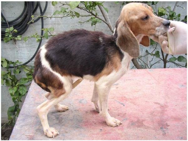 4B68176B-8D3E-403C-83DB-91DFABAD6E6F