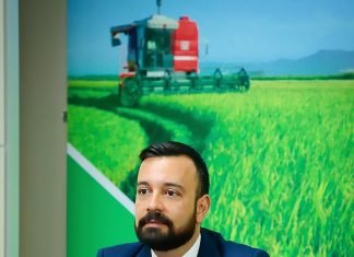 INOVAÇÃO É DETERMINANTE PARA O CRESCIMENTO DO AGRONEGÓCIO