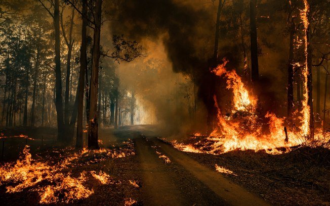 1D867938-0564-4AE8-812D-AFEEA28F40B2