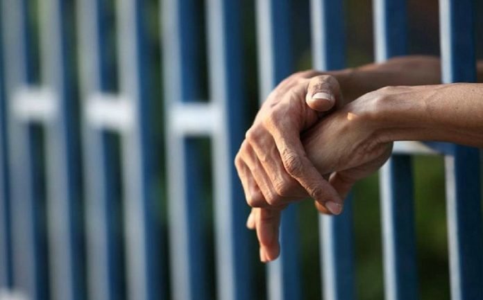 csm_cadeiashutter_b694e781d8