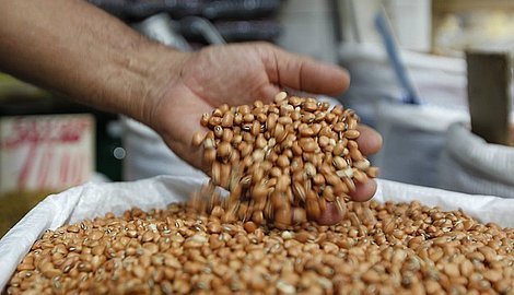 EC20DDD5-B867-498E-A38E-999E1E854640