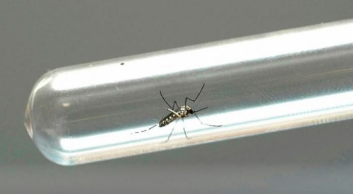 B38465DF-87AA-4BAC-95F6-4B8E1B1AB010