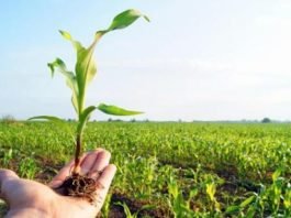 MENSAGEM AO HOMEM DO CAMPO: 28 DE JULHO, DIA DO AGRICULTOR.