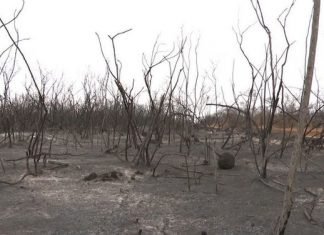 Incêndio é controlado na Serra da Lagoa Preta, sudoeste da Bahia