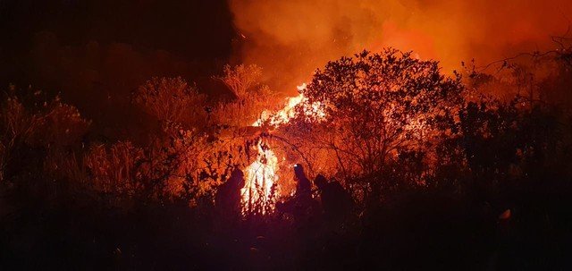 whatsapp-image-2020-10-07-at-10.24.50