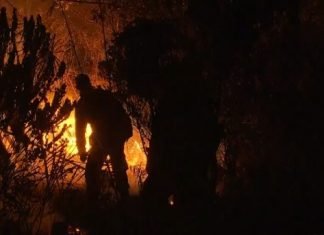 ‘É por amor à natureza’, diz brigadista voluntário que atuou em combate a incêndio na Chapada Diamantina; fogo foi controlado