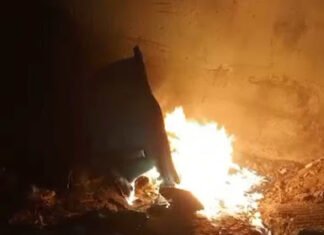 Cachoeira: vândalos colocam fogo em lixeira durante inauguração de praça