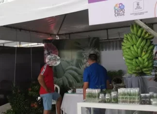 Começa em Cruz das Almas a ExpoCruz 2023
