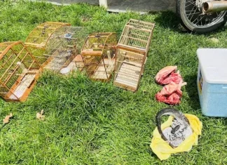 Promotoria Regional apreende animais e armas em Ubaíra, Jiquiriça e Laje