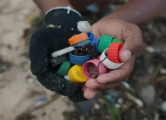 Itaparica: Projeto Mares celebra aniversário da Baía de Todos os Santos com mutirão de limpeza
