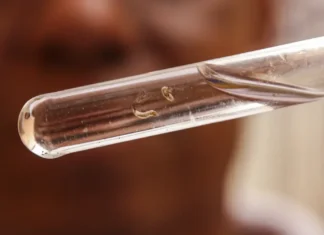 Dengue: quase todos os estados brasileiros têm tendência de queda