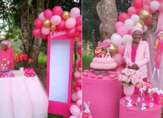 Após festa da Barbie, idosa completa 108 anos com novo tema cor de rosa; conheça Dinha