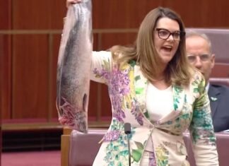 Senadora da Austrália leva salmão podre para sessão do Parlamento em protesto