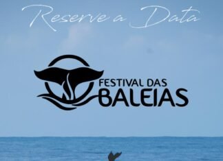 12º Festival da Baleias acontece em Salvador de 29 de Março a 01 de Abril;