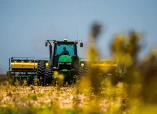 Produção de grãos no Brasil bate recorde de 350 milhões de toneladas