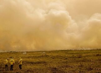 Seca: Inmet alerta para grande perigo por baixa umidade na Bahia e outros estados