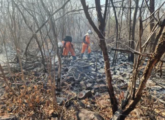 Baixa umidade coloca cidades da Bahia em estado de atenção; entenda